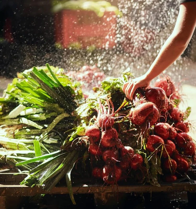 Cosecha y vegetales frescos